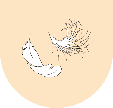 cushion filling