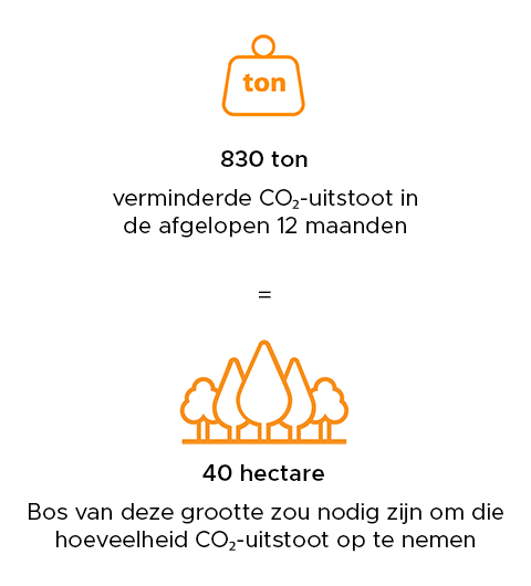 Belangrijkste waarden van Beliani